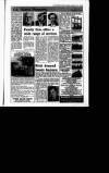 Irish Independent Friday 02 November 1990 Page 43