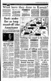 Irish Independent Saturday 03 November 1990 Page 7