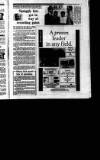 Irish Independent Tuesday 06 November 1990 Page 33