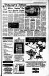 Irish Independent Wednesday 07 November 1990 Page 23