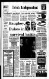 Irish Independent Saturday 10 November 1990 Page 1