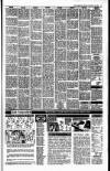 Irish Independent Monday 12 November 1990 Page 17