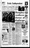 Irish Independent Thursday 29 November 1990 Page 1