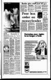 Irish Independent Thursday 29 November 1990 Page 3