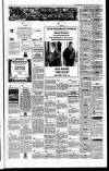 Irish Independent Thursday 29 November 1990 Page 23