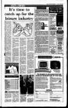 Irish Independent Thursday 29 November 1990 Page 29