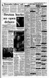 Irish Independent Monday 03 December 1990 Page 13