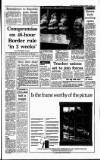 Irish Independent Tuesday 04 December 1990 Page 5