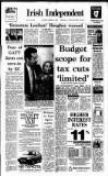 Irish Independent Wednesday 05 December 1990 Page 1