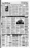Irish Independent Saturday 08 December 1990 Page 19