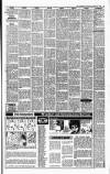 Irish Independent Saturday 08 December 1990 Page 33