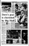 Irish Independent Thursday 27 December 1990 Page 29