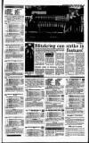 Irish Independent Friday 28 December 1990 Page 15