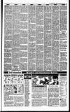 Irish Independent Friday 28 December 1990 Page 21
