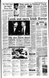 Irish Independent Saturday 05 January 1991 Page 17