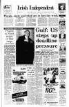 Irish Independent Tuesday 08 January 1991 Page 1