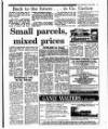 Irish Independent Tuesday 08 January 1991 Page 35
