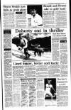 Irish Independent Thursday 10 January 1991 Page 17