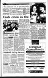 Irish Independent Friday 11 January 1991 Page 7