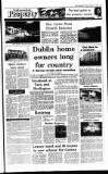 Irish Independent Friday 11 January 1991 Page 19