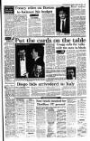 Irish Independent Tuesday 15 January 1991 Page 19