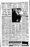 Irish Independent Tuesday 22 January 1991 Page 5