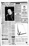 Irish Independent Thursday 24 January 1991 Page 27