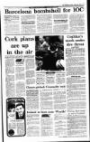 Irish Independent Friday 08 February 1991 Page 17