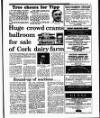 Irish Independent Tuesday 26 February 1991 Page 41