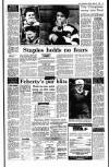 Irish Independent Friday 15 March 1991 Page 17