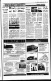 Irish Independent Wednesday 01 May 1991 Page 19