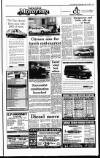 Irish Independent Wednesday 01 May 1991 Page 23