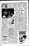 Irish Independent Friday 03 May 1991 Page 7