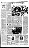Irish Independent Monday 06 May 1991 Page 9