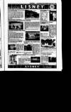 Irish Independent Friday 06 September 1991 Page 33