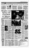 Irish Independent Monday 04 November 1991 Page 11