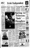 Irish Independent Tuesday 05 November 1991 Page 1