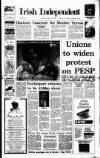 Irish Independent Thursday 02 January 1992 Page 1