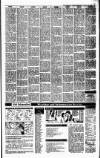Irish Independent Thursday 02 January 1992 Page 23