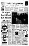 Irish Independent Friday 03 January 1992 Page 1