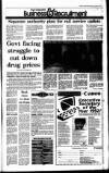 Irish Independent Thursday 09 January 1992 Page 25