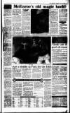 Irish Independent Saturday 18 January 1992 Page 17