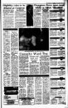 Irish Independent Wednesday 22 January 1992 Page 17