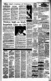 Irish Independent Friday 24 January 1992 Page 19