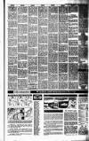 Irish Independent Saturday 25 January 1992 Page 29