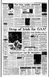 Irish Independent Wednesday 29 January 1992 Page 17
