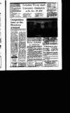 Irish Independent Tuesday 04 February 1992 Page 45