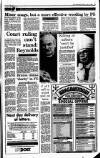 Irish Independent Friday 03 April 1992 Page 13