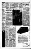 Irish Independent Wednesday 08 April 1992 Page 11
