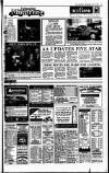 Irish Independent Wednesday 08 April 1992 Page 29